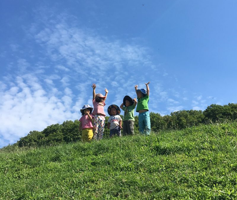東川町の森のようちえん キトキトで一緒に活動しませんか?