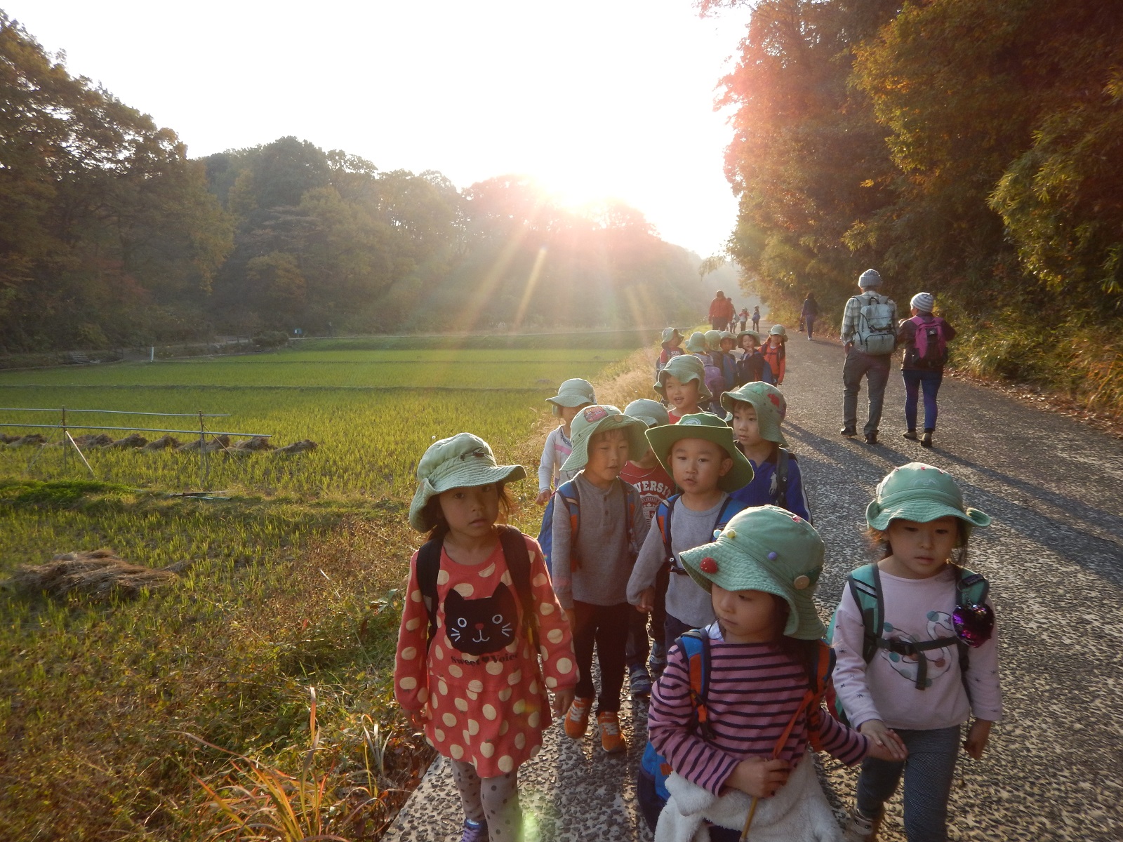 森のようちえん めーぷるキッズ(横浜市・認可外施設)2020年度 新3歳児クラス入園説明会開催のお知らせ