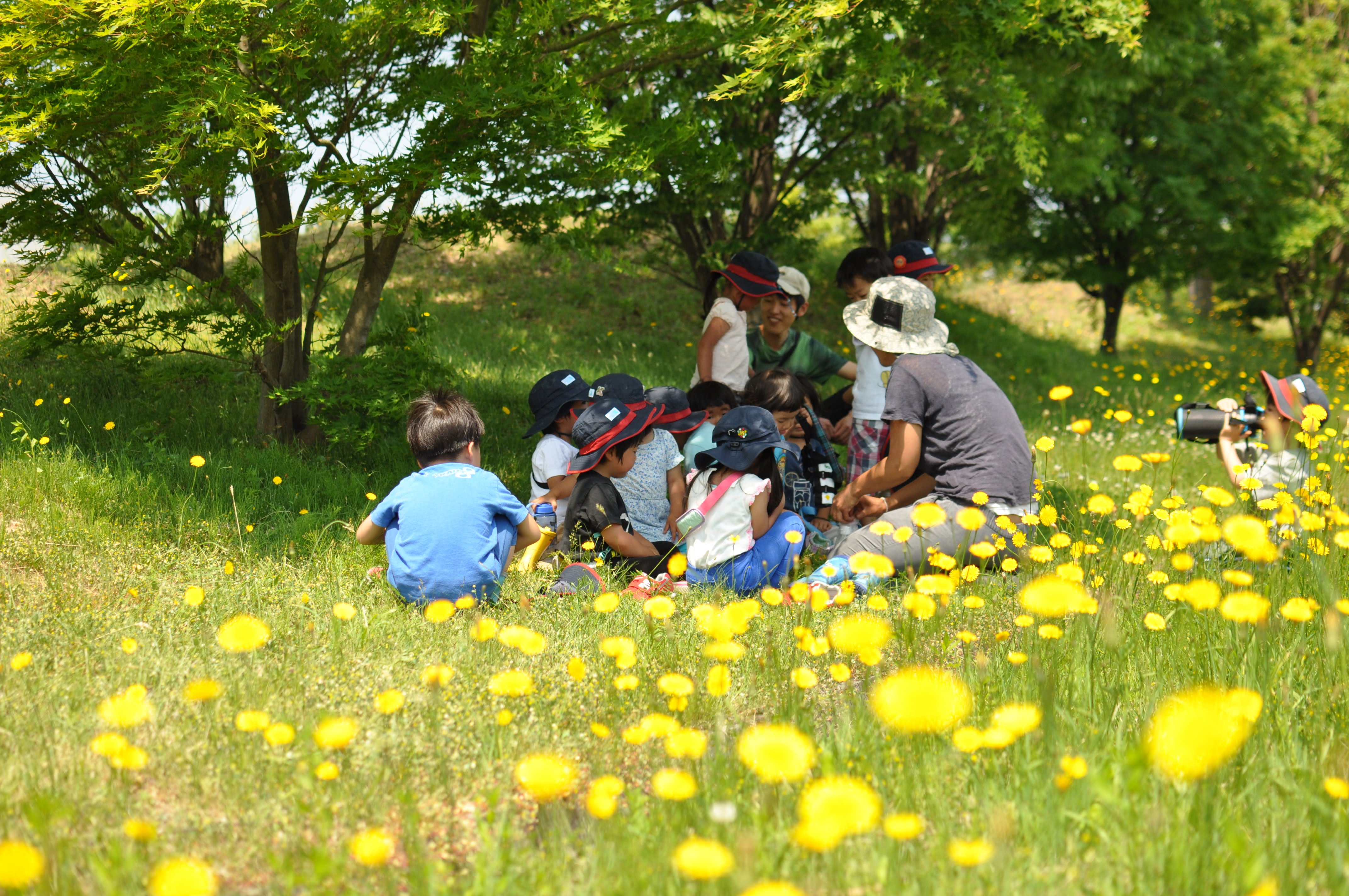 スタッフ募集:やまのこ保育園(山形県鶴岡市)&オンライン説明会開催!