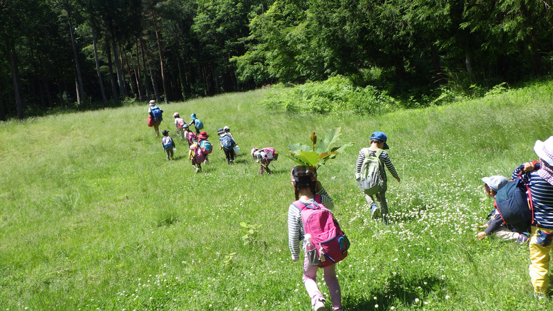 子どもと環境研究会「福島の子どもたちの今日とあした」オンライン勉強会のお知らせ