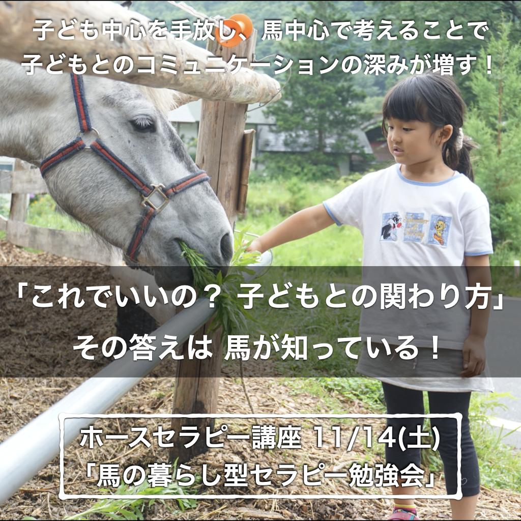 【参加募集】ホースセラピー講座「馬の暮らし型セラピー勉強会」 11/14(土)