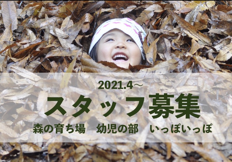 森の育ち場2021年度〜新しいスタッフを募集します!