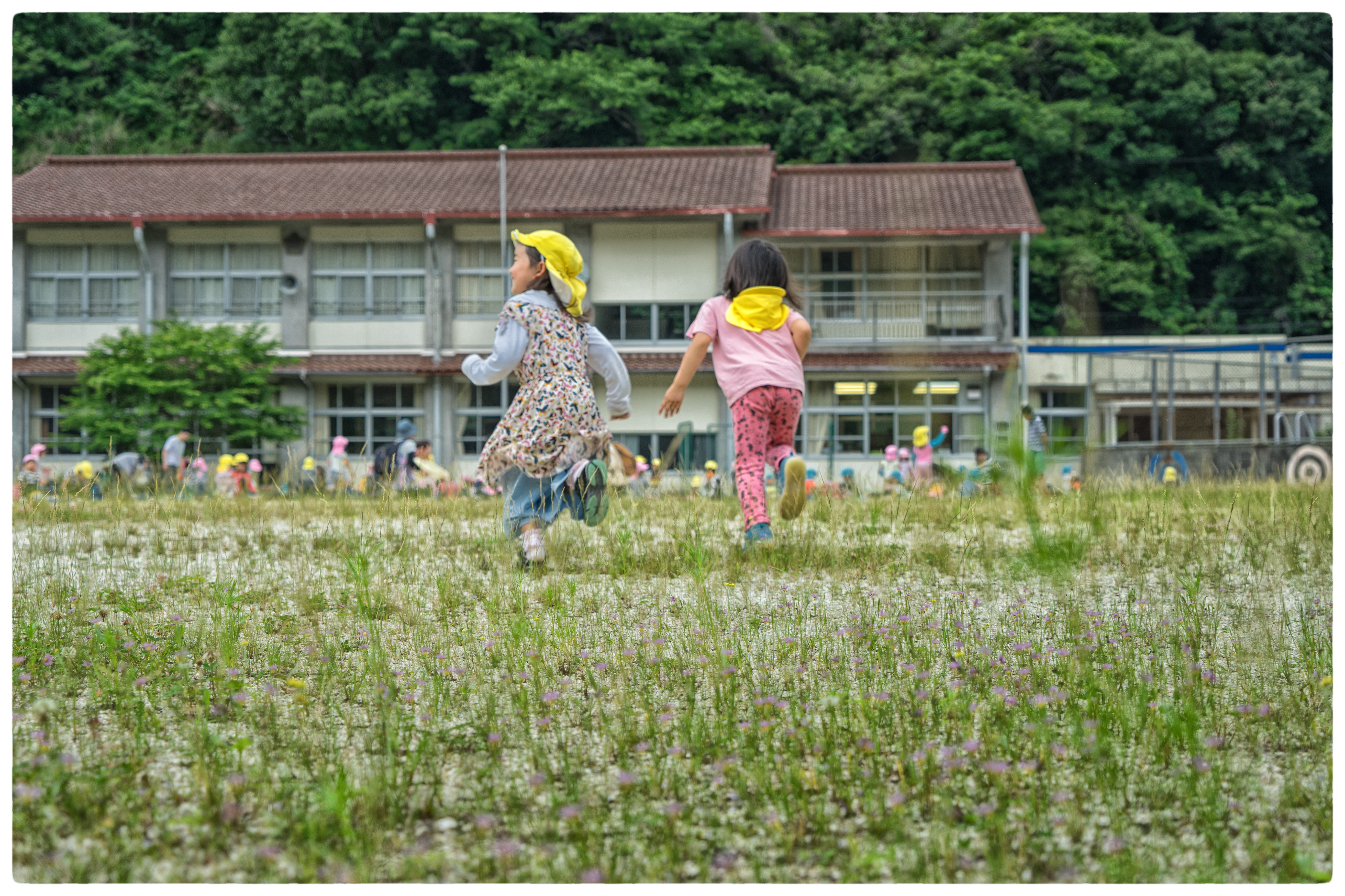 【とさ自由学校設立準備室】サマーキャンプ募集開始!