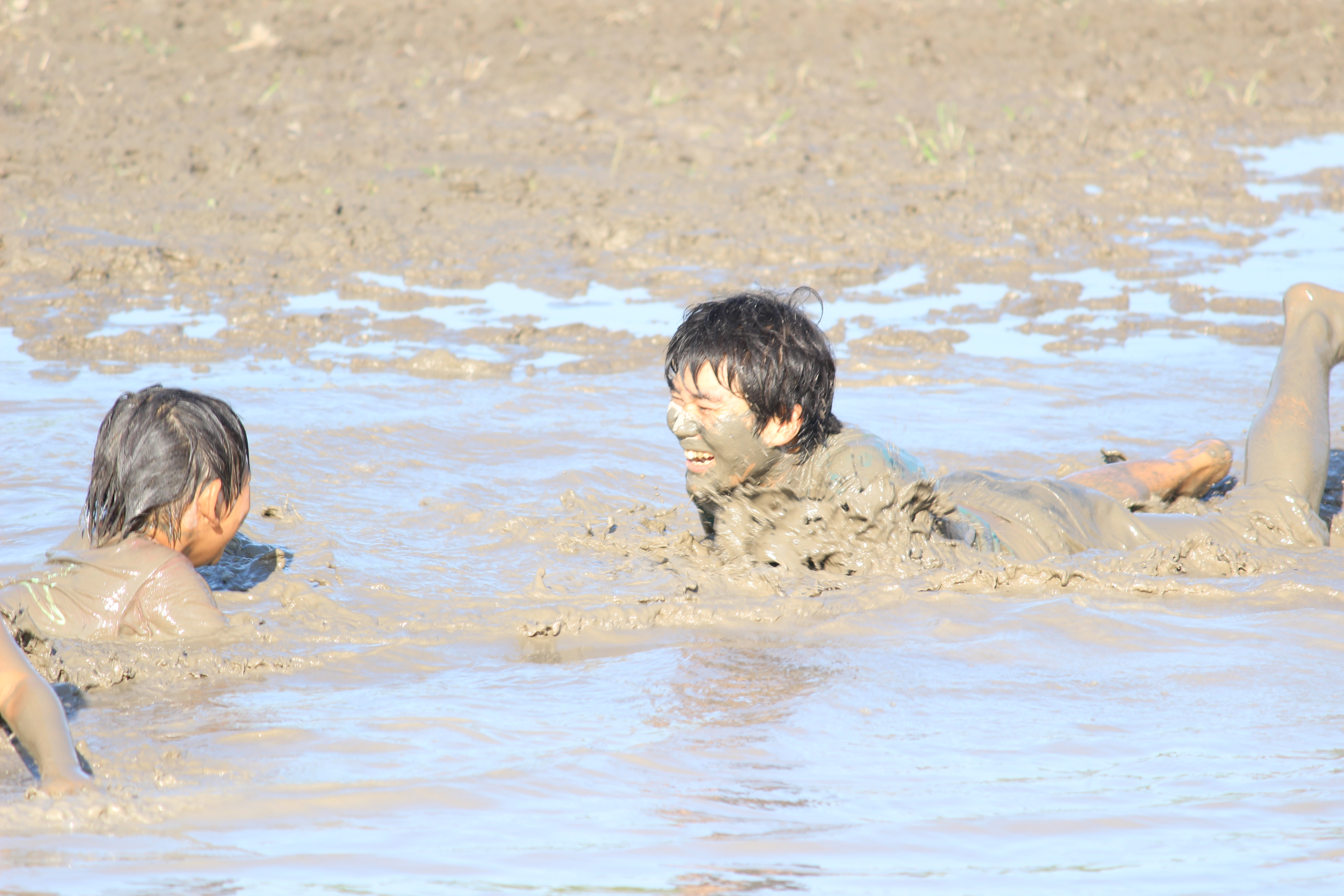 研修生募集 トエックのようちえん 小学校