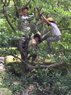 東京都にある「森のようちえん」に対して認可幼稚園と同じ条件での無償化を求めます!