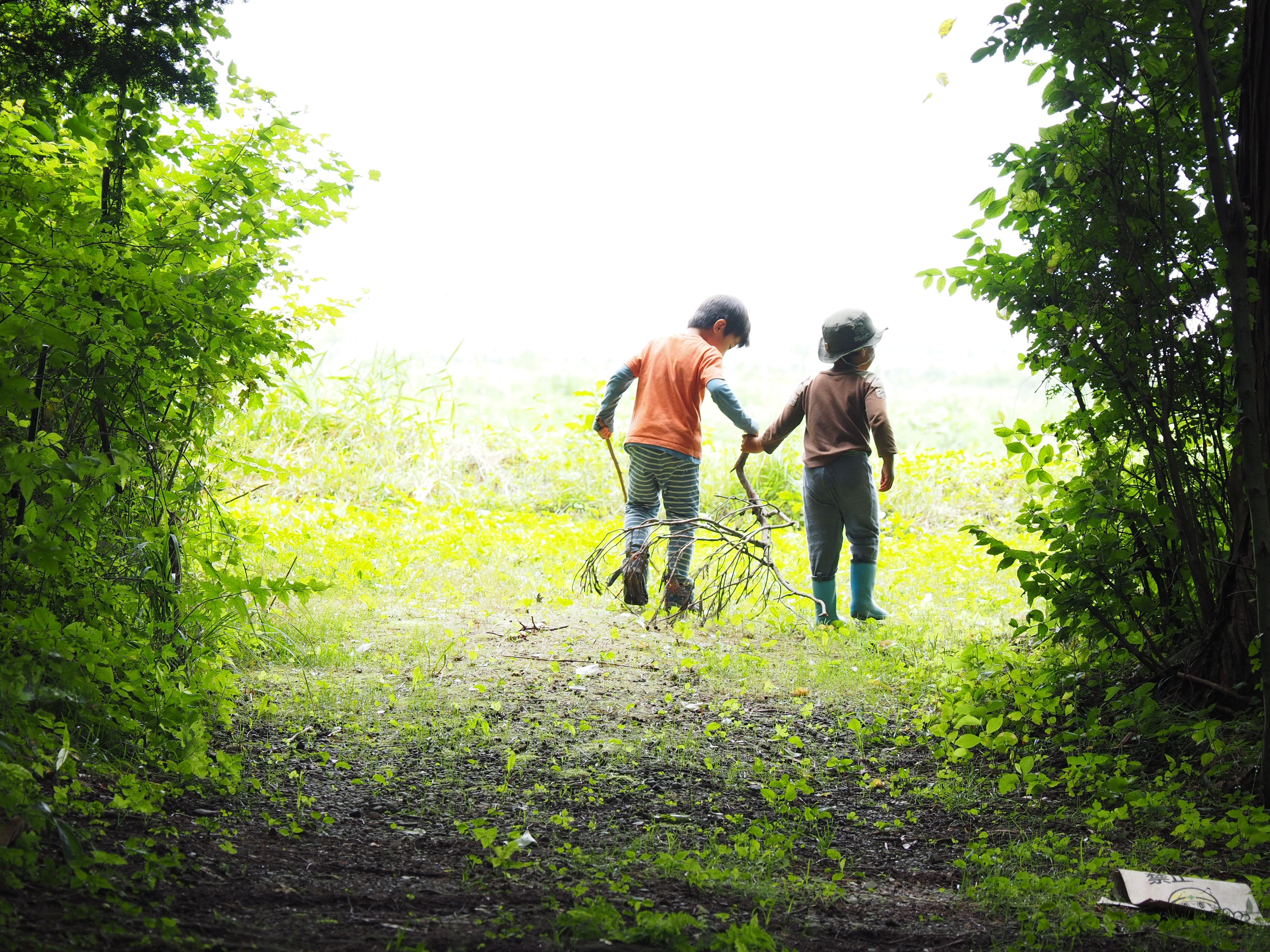 【来期、保育委員決定のお知らせ】
