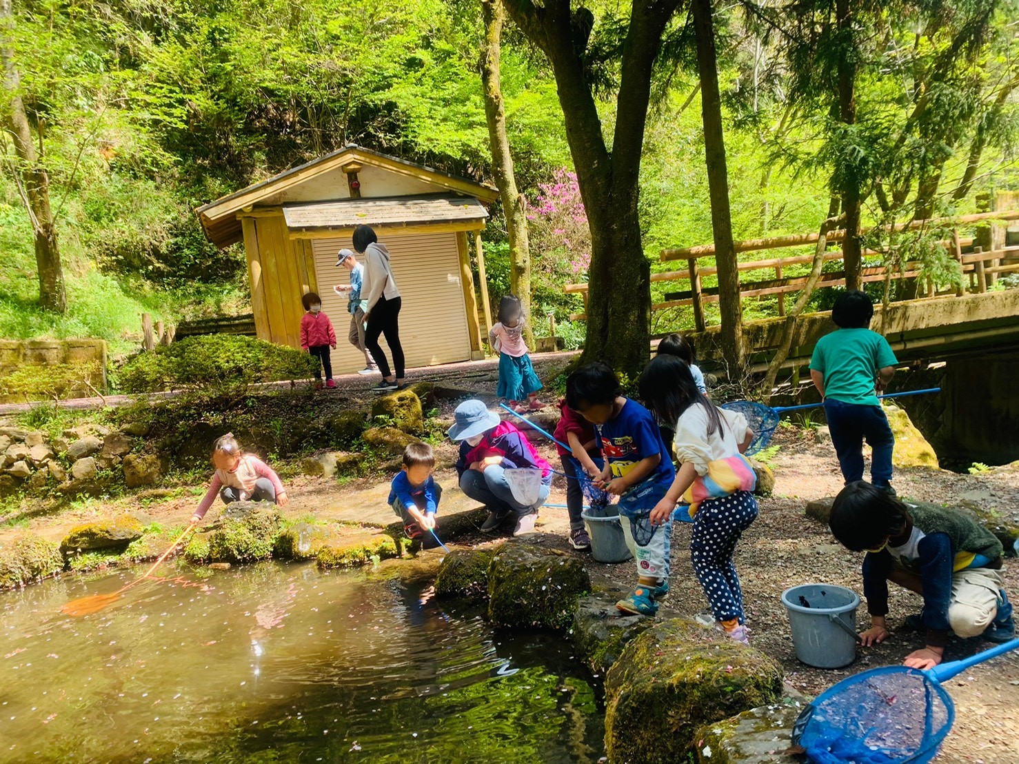 相模原市にある園舎のない自然派幼児園「つちのこくらぶ」